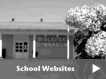 School Websites